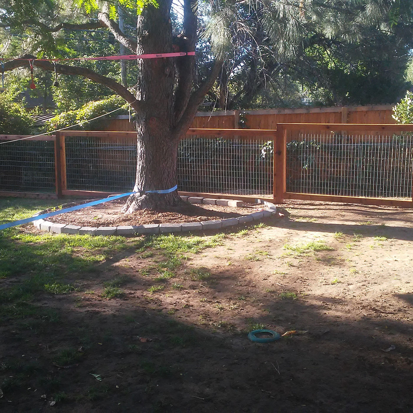 Backyard with a new wire-and-wood fence and a stone ring around a tree